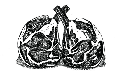 rib_of_beef_blog