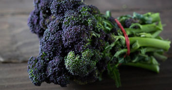 farm-shops-Cheshire-broccoli