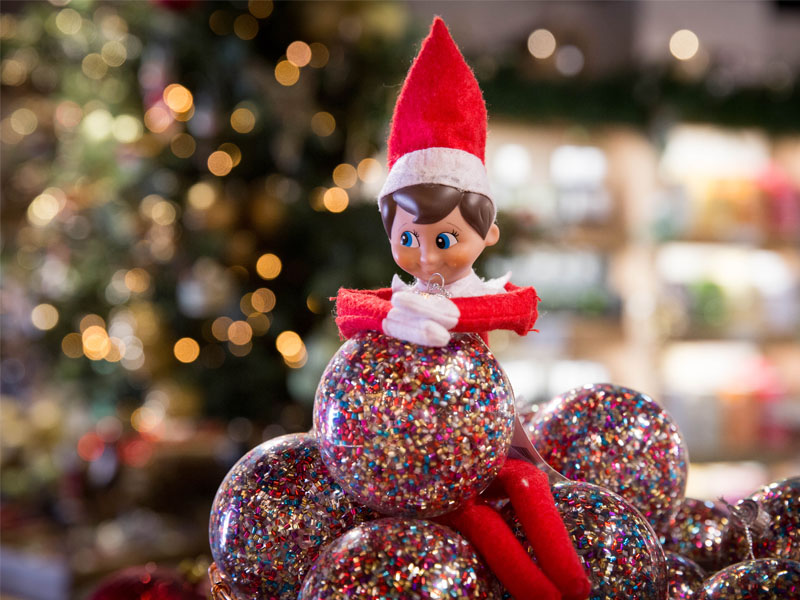 The Elf on the Shelf - The Hollies Farm Shop