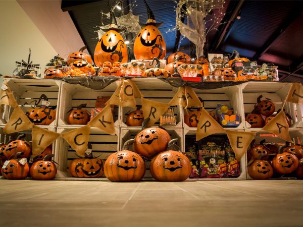 Trick or Treat? Halloween at The Hollies The Hollies Farm Shop